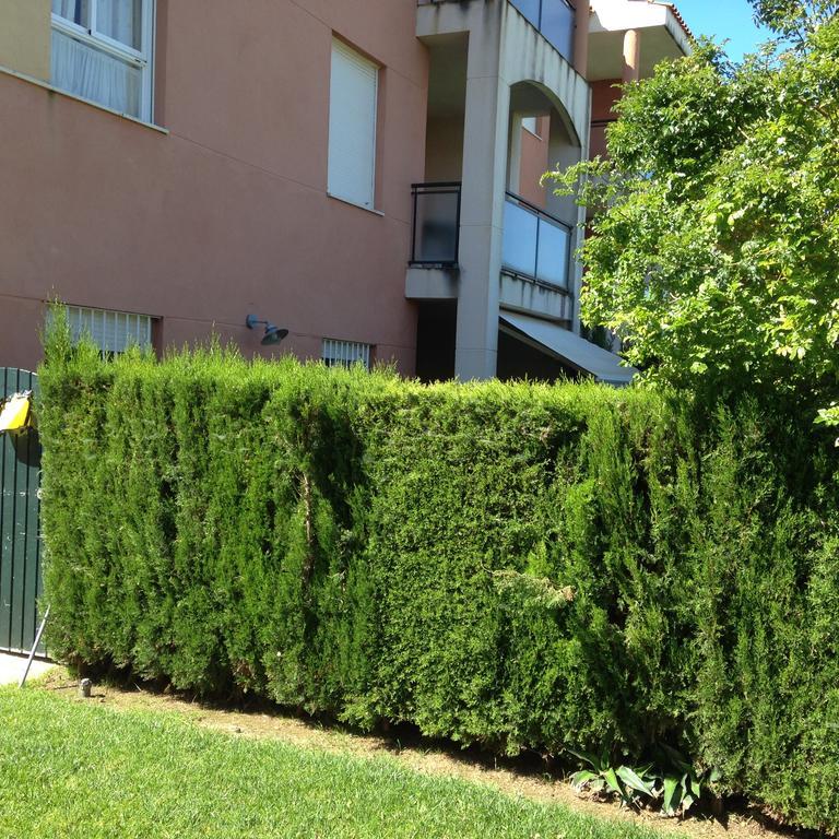 Divi Apartments Costa Ballena Luaran gambar